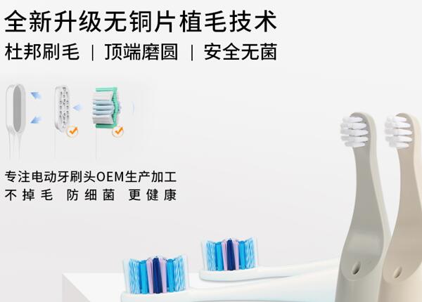 刷博士電動牙刷頭生產代工貼牌